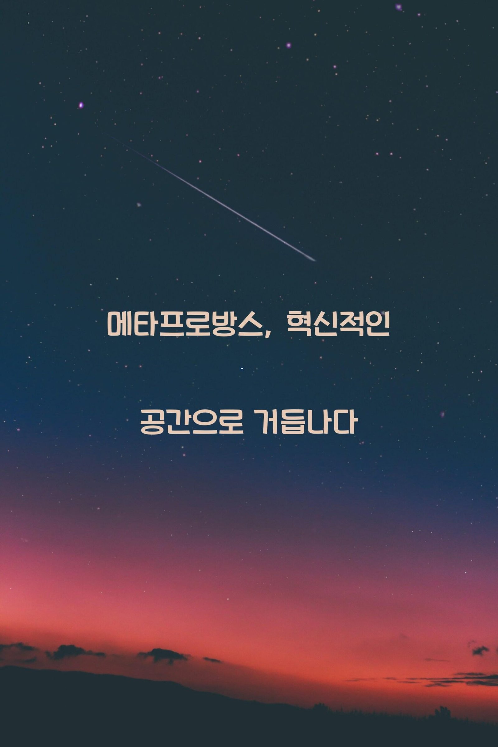 메타프로방스 scaled