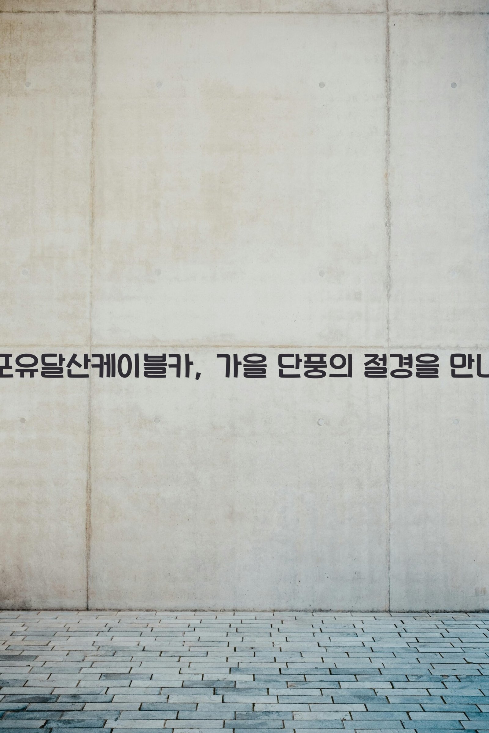 목포유달산케이블카 scaled
