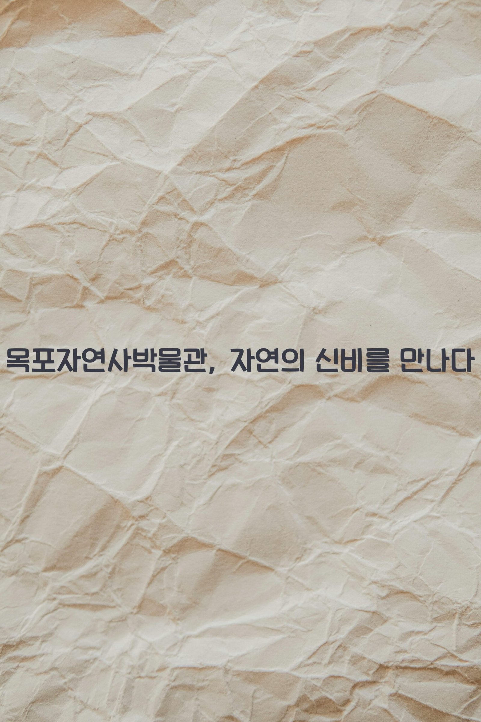 목포자연사박물관 scaled