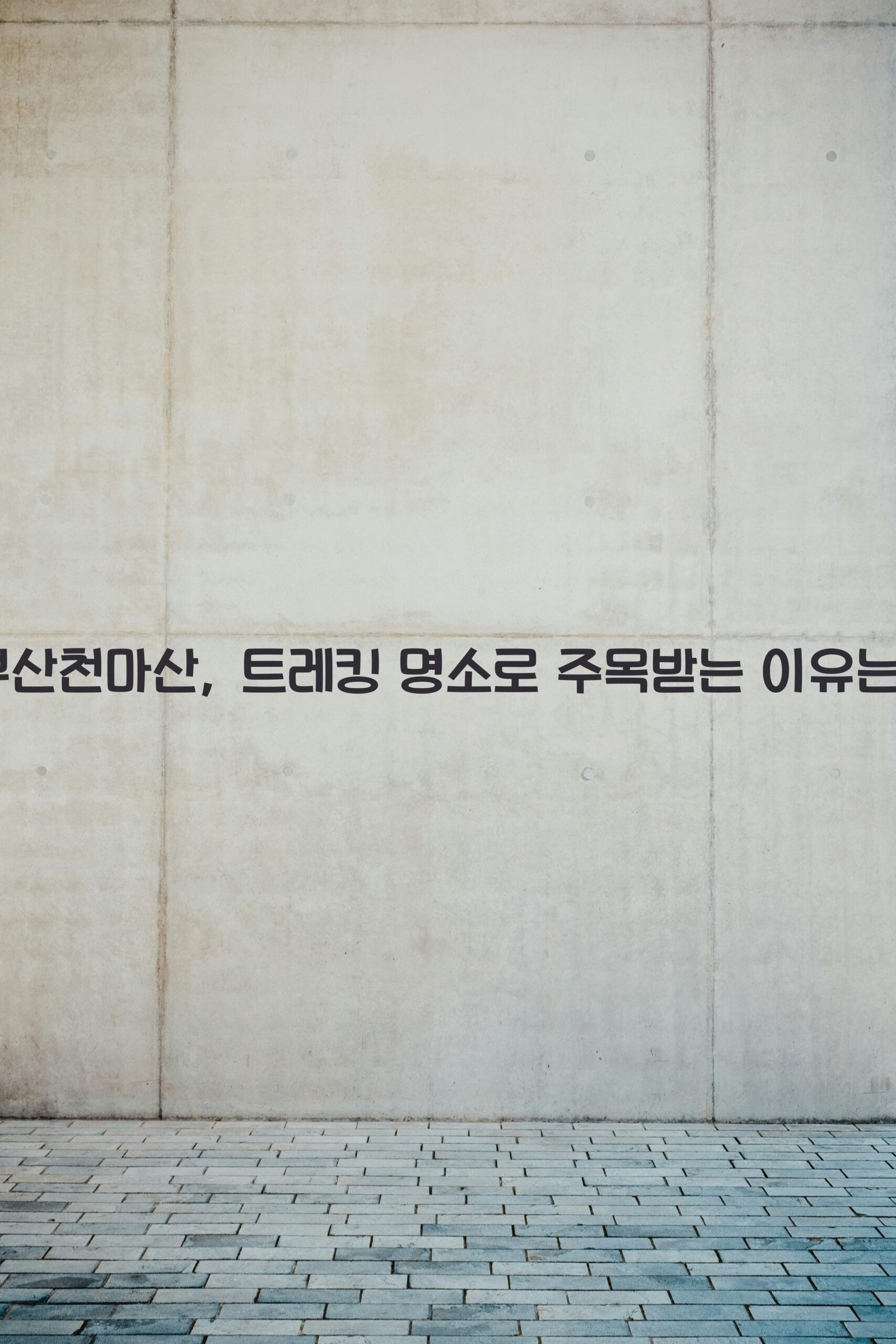 부산천마산 scaled
