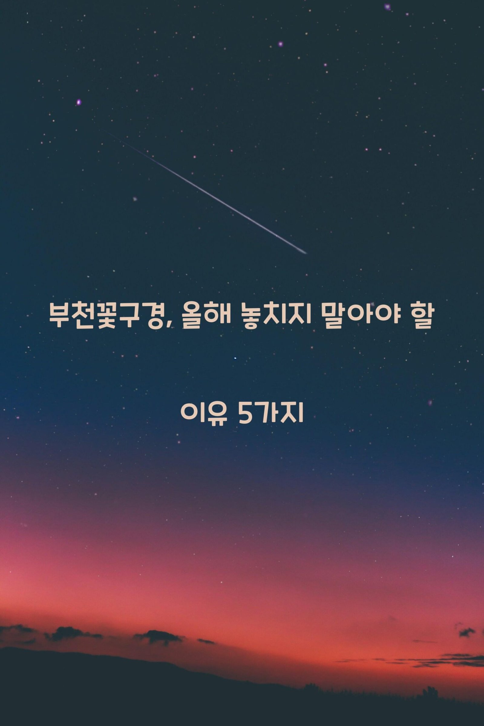 부천꽃구경 scaled