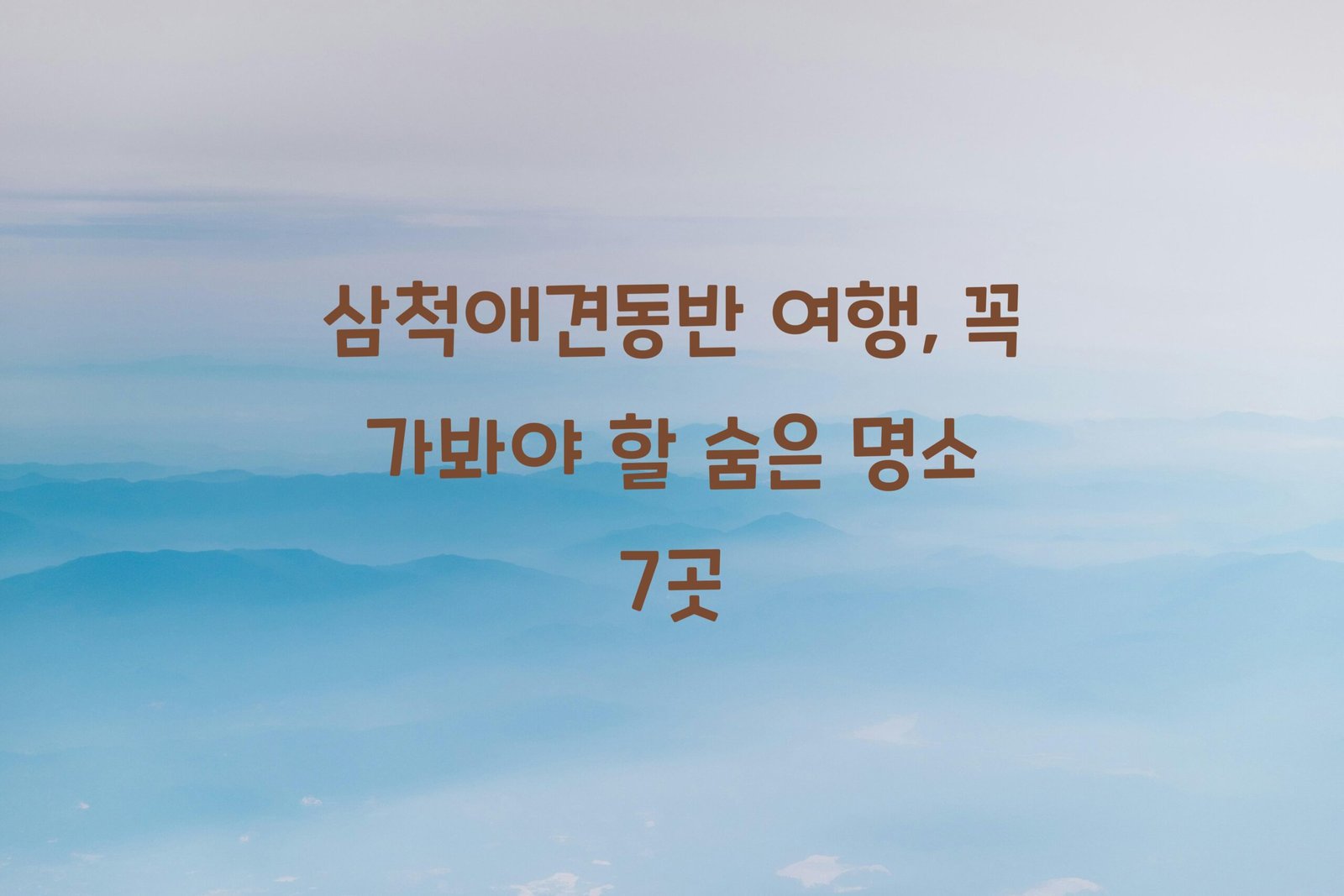 삼척애견동반 scaled