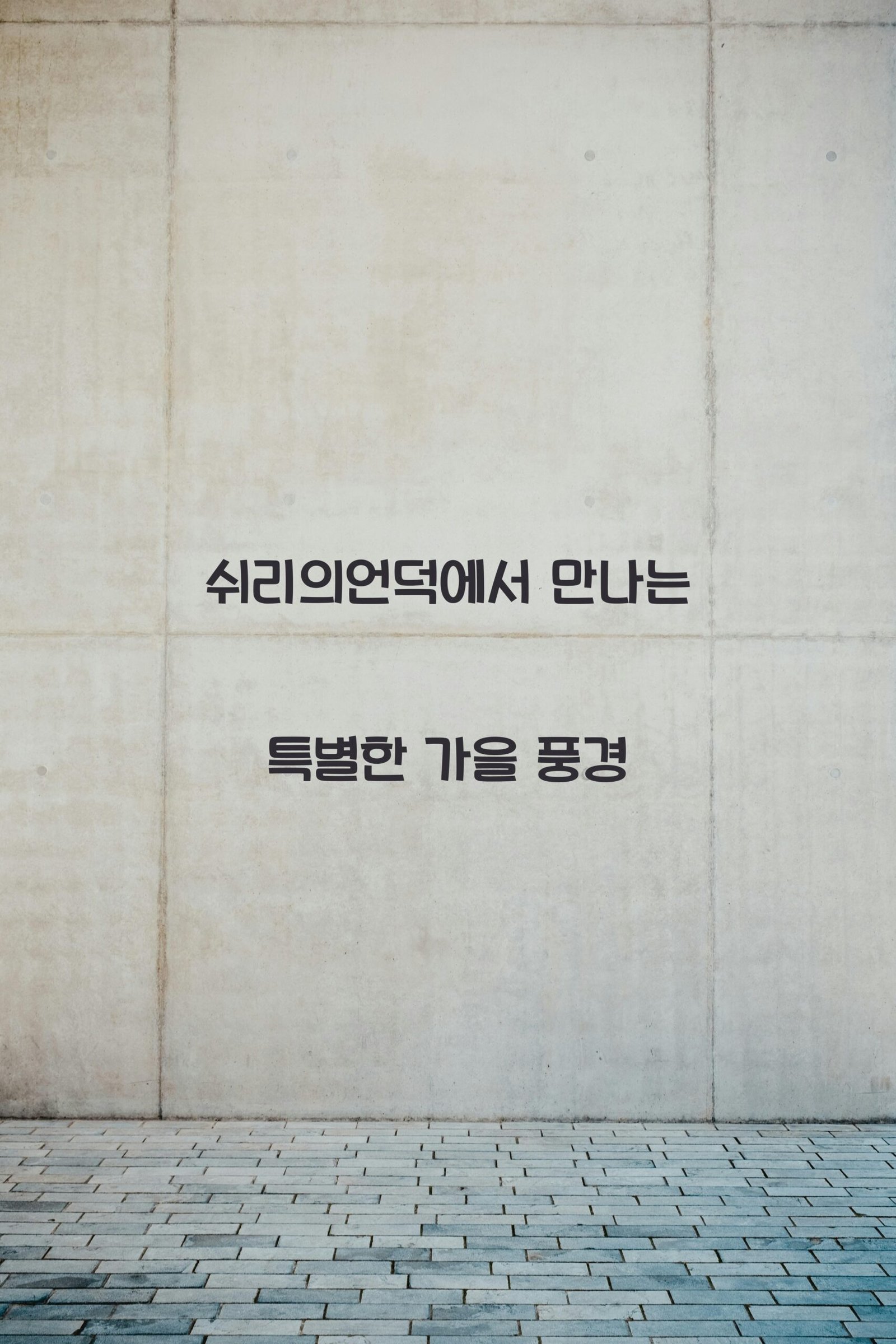 쉬리의언덕 scaled
