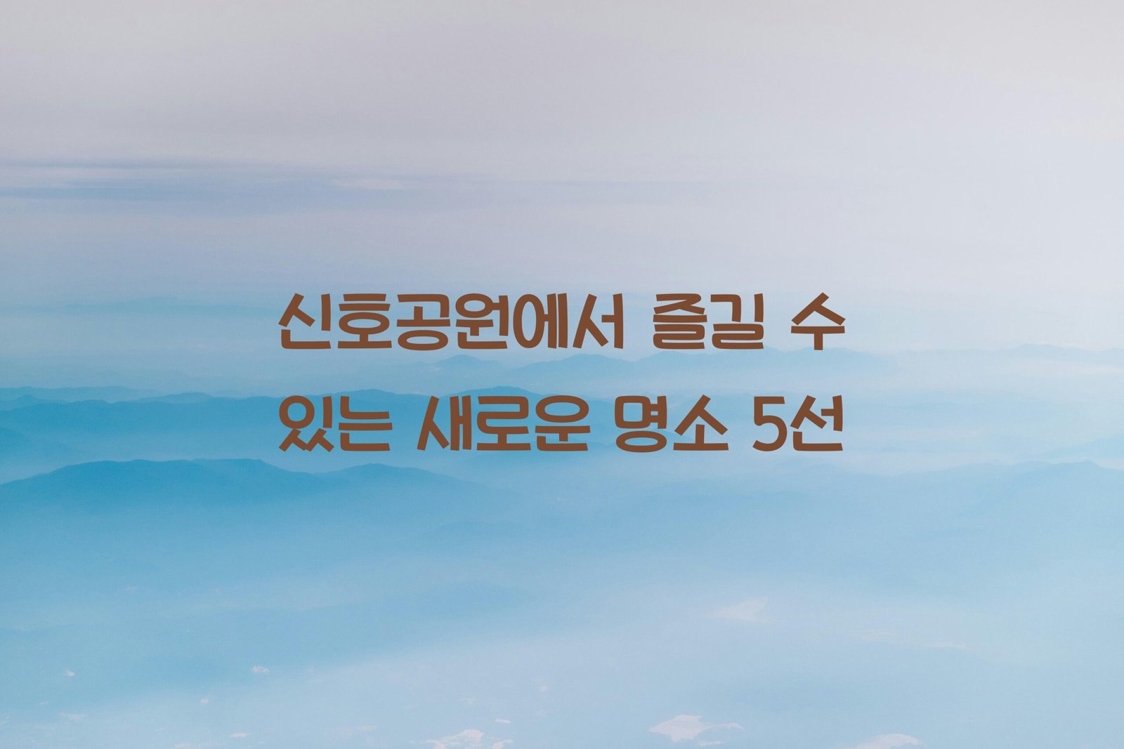 신호공원 scaled