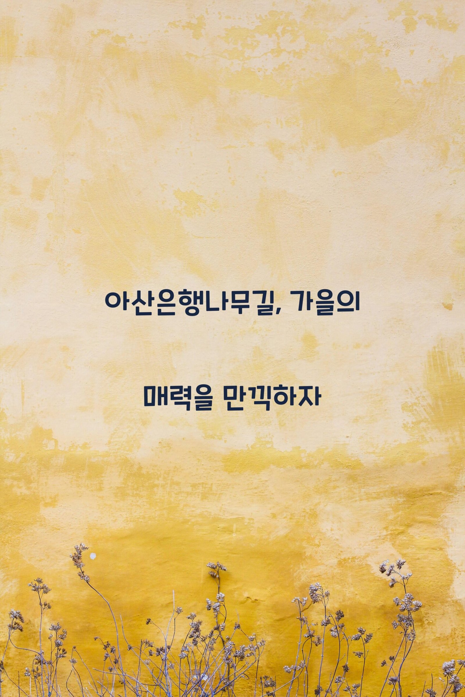 아산은행나무길 scaled