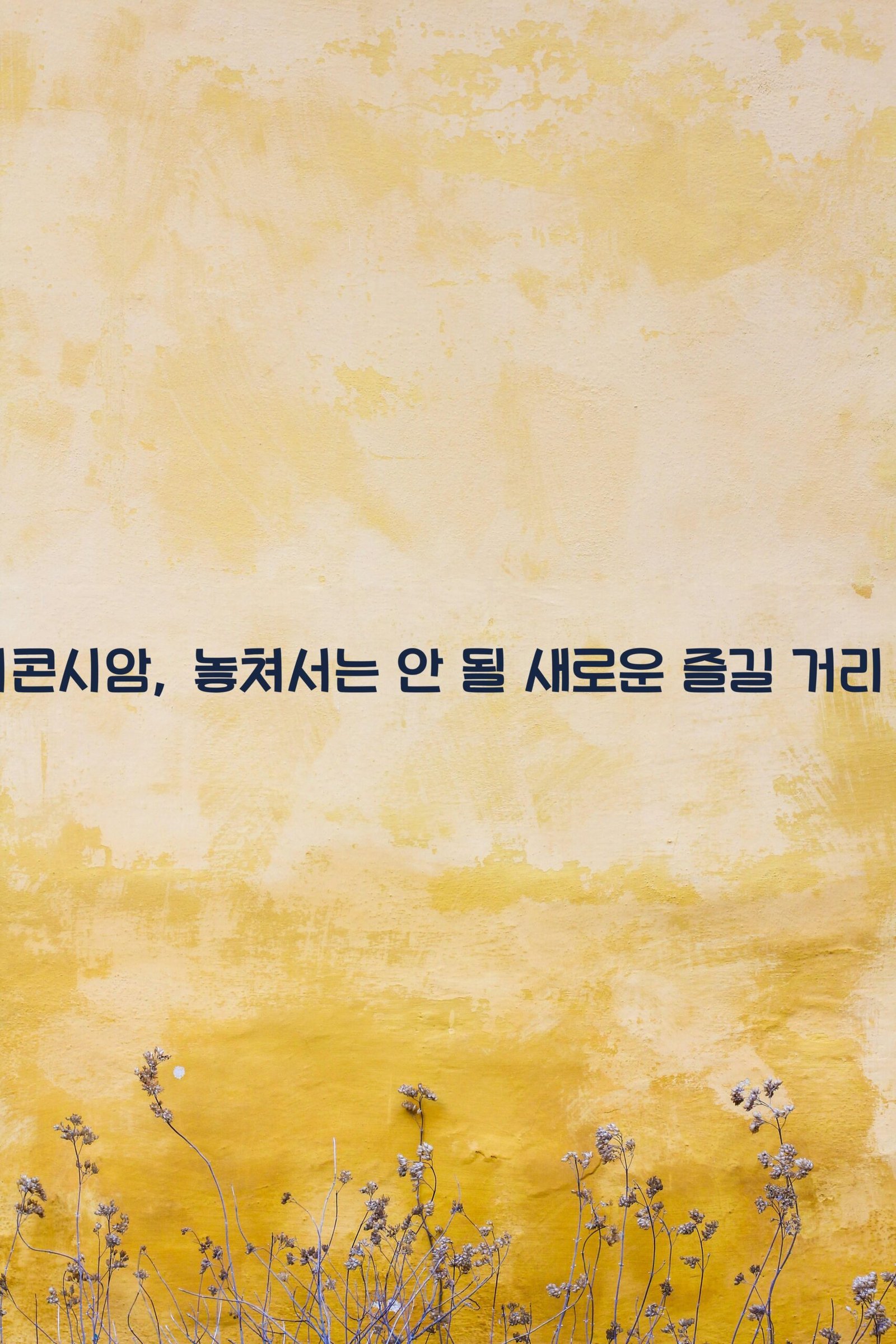 아이콘시암 scaled