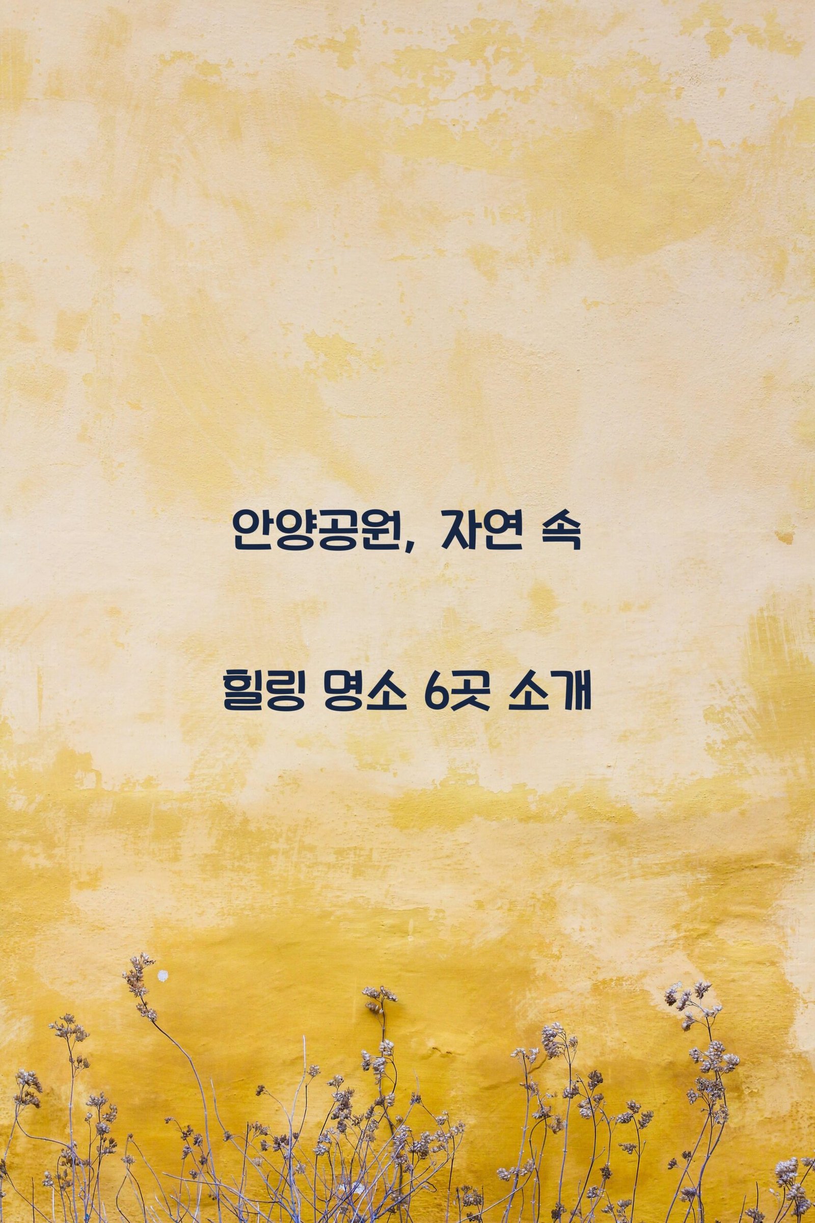 안양공원 scaled