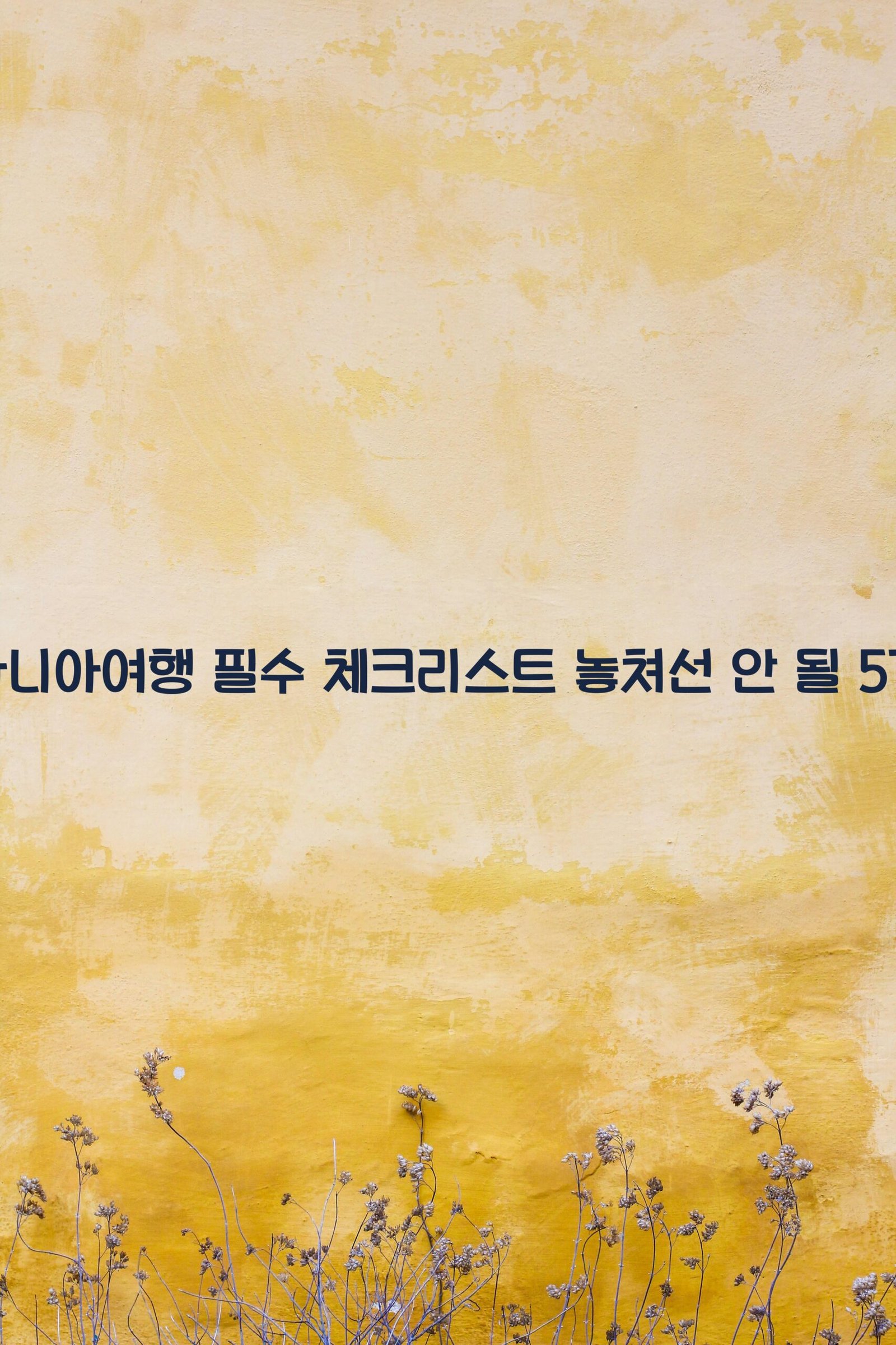 알바니아여행 scaled