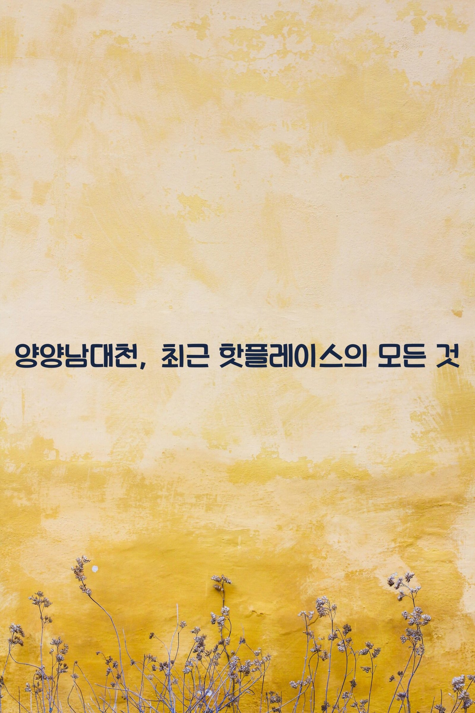 양양남대천 scaled