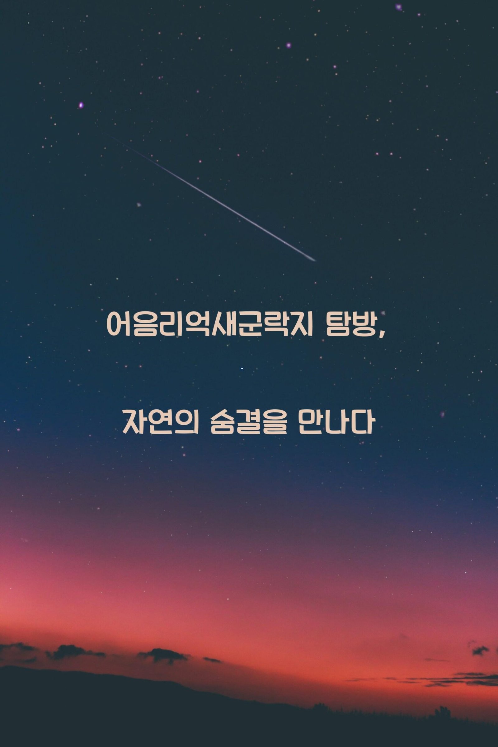 어음리억새군락지 scaled