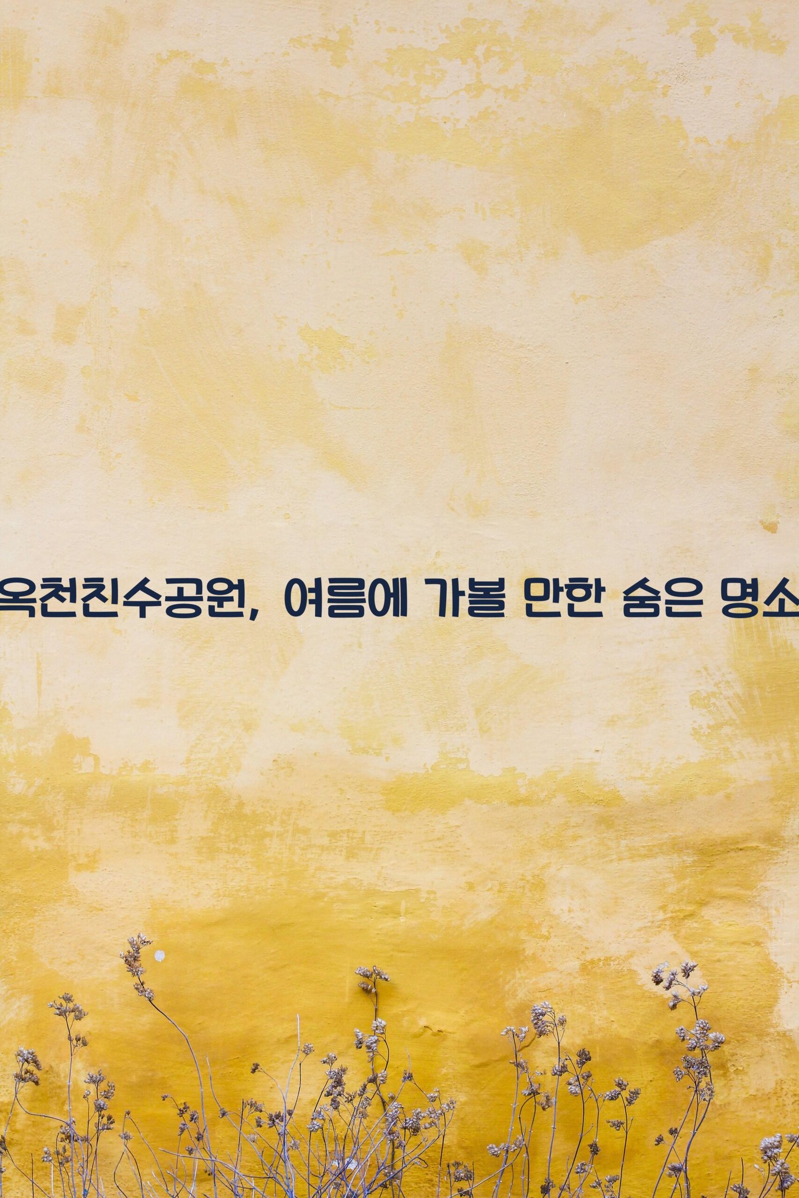 옥천친수공원 scaled
