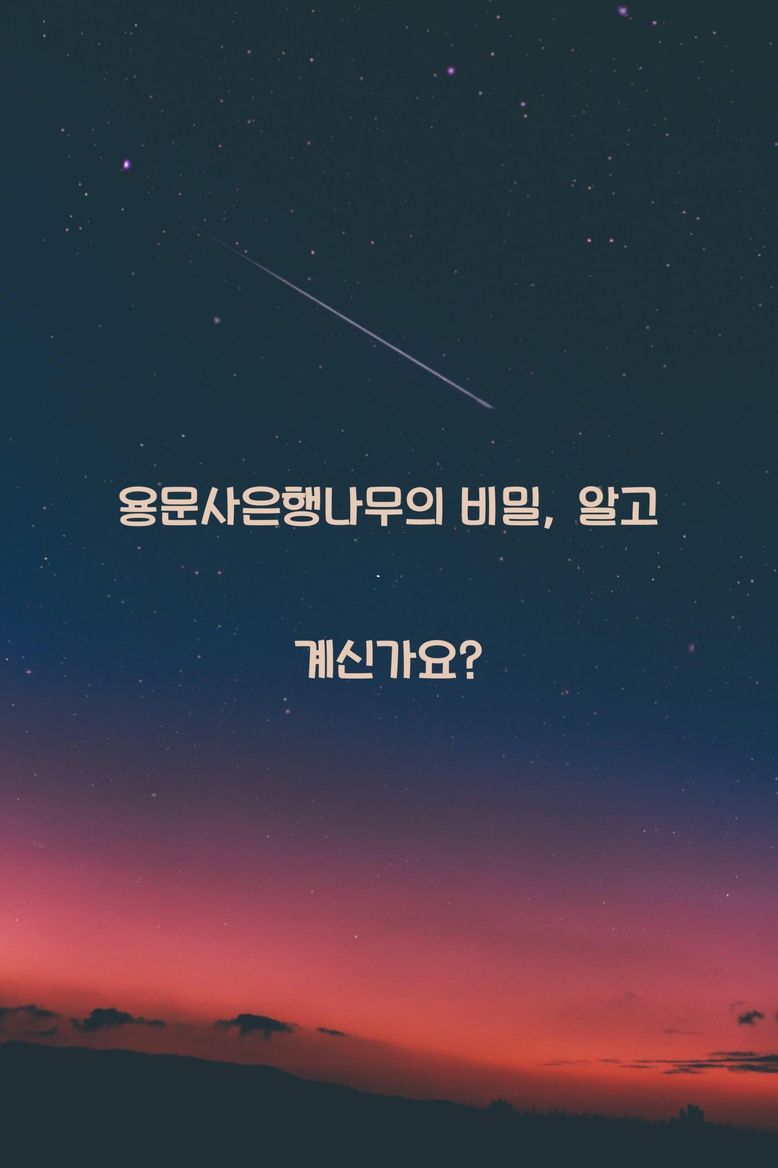 용문사은행나무 scaled