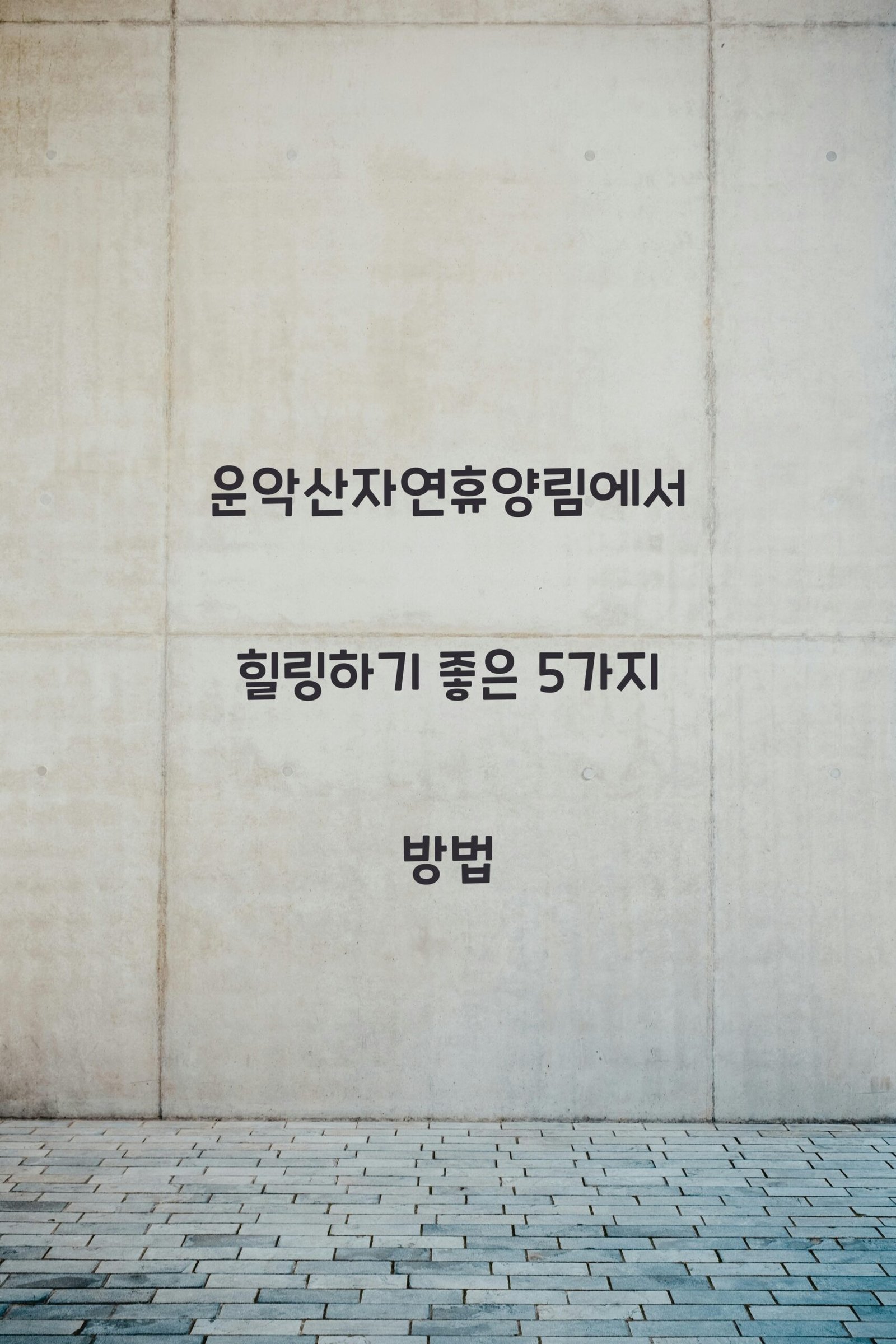 운악산자연휴양림 scaled