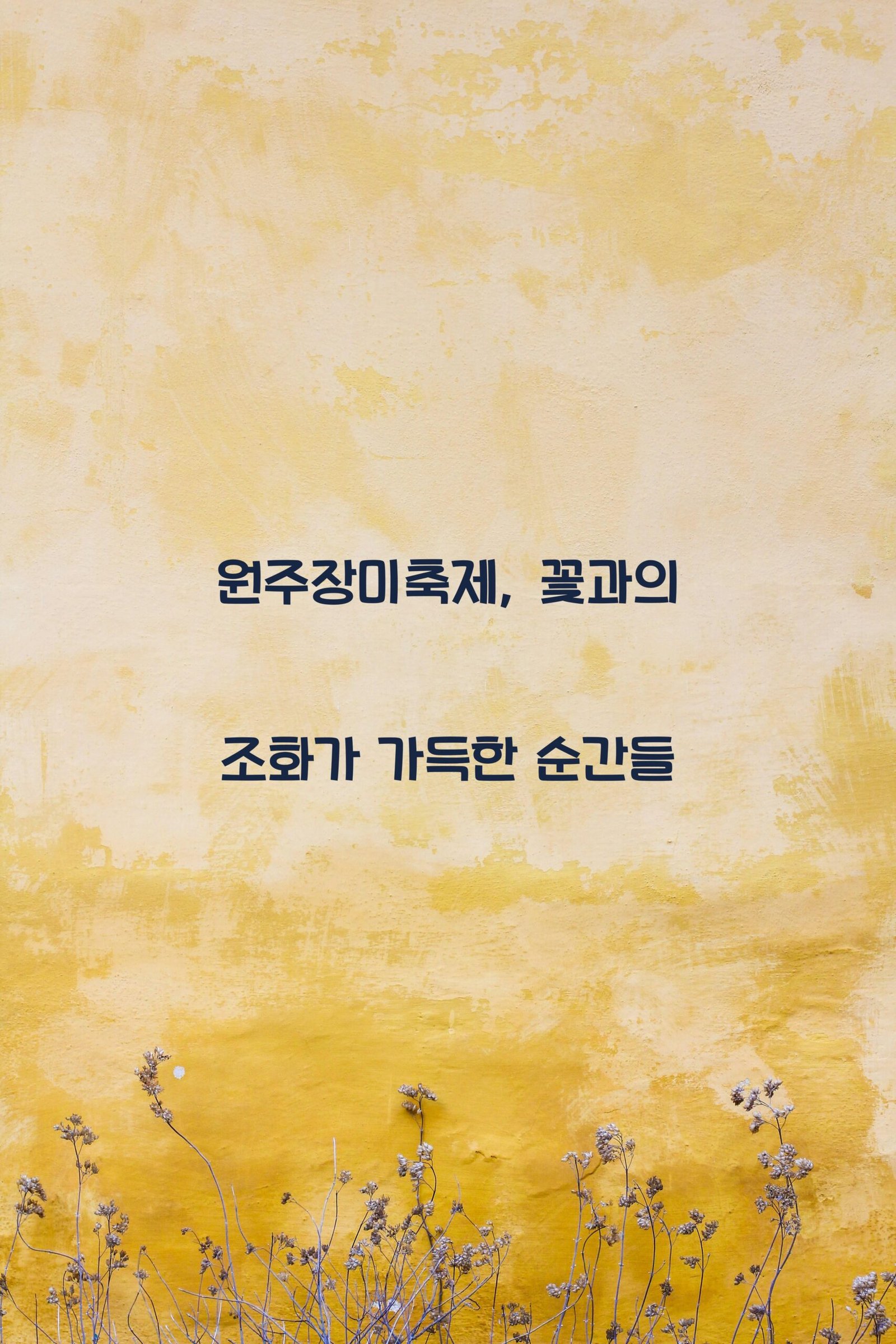 원주장미축제 scaled