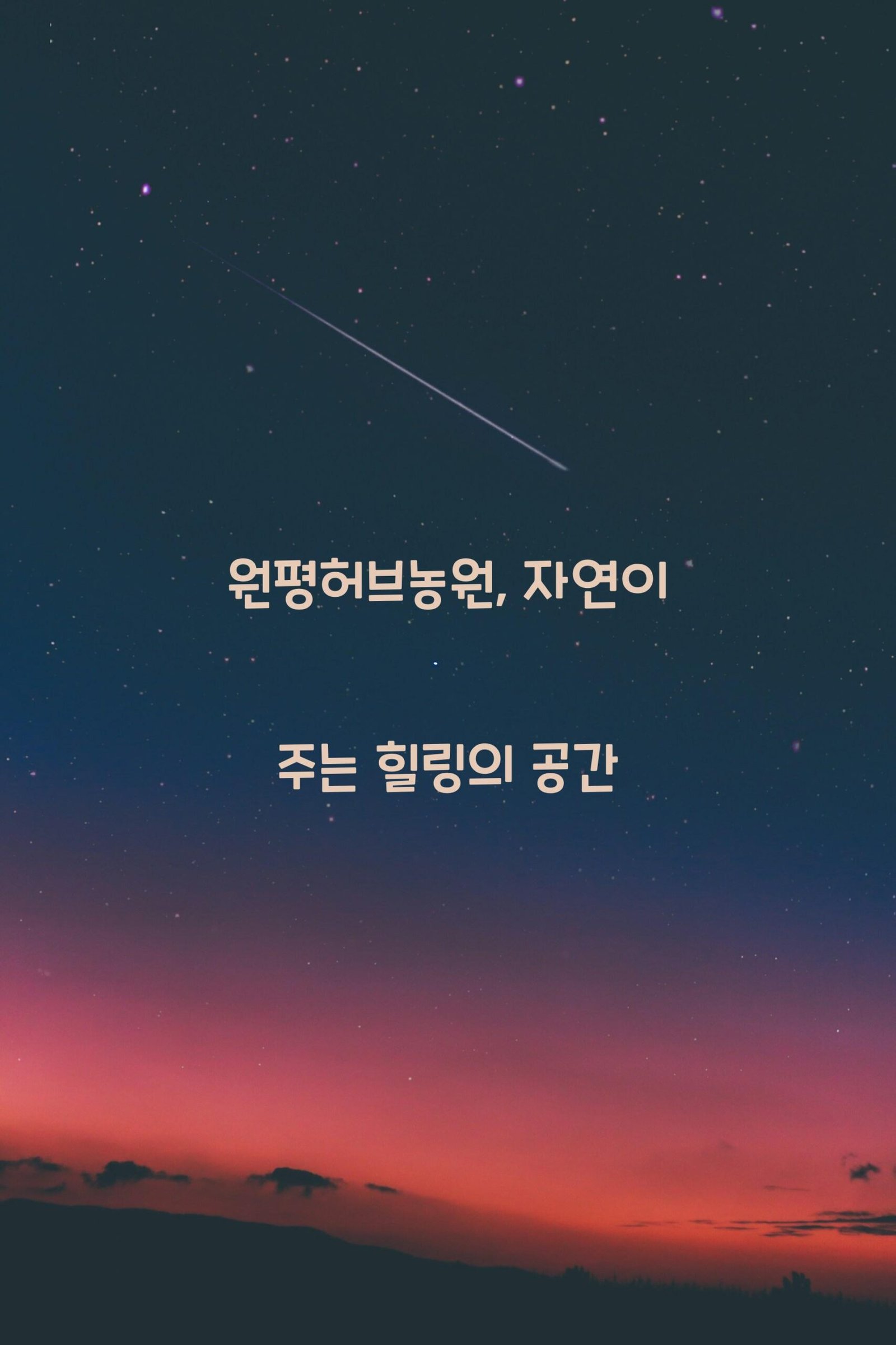 원평허브농원 scaled