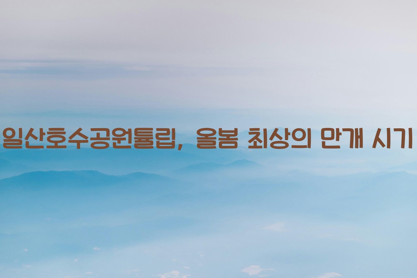 일산호수공원튤립 scaled