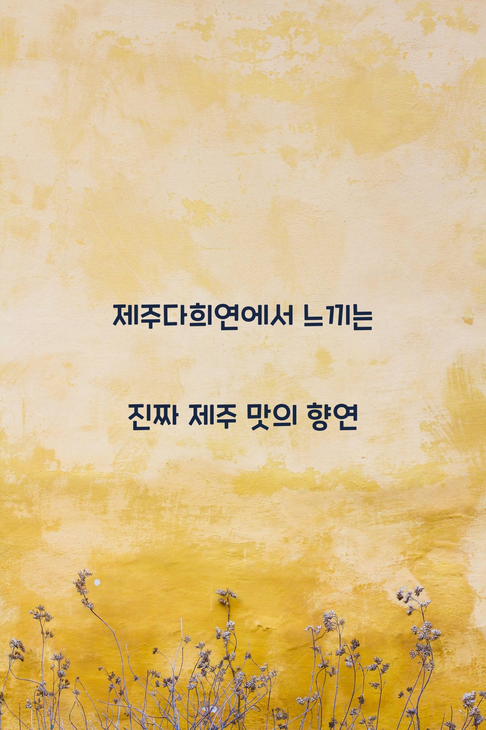 제주다희연 scaled