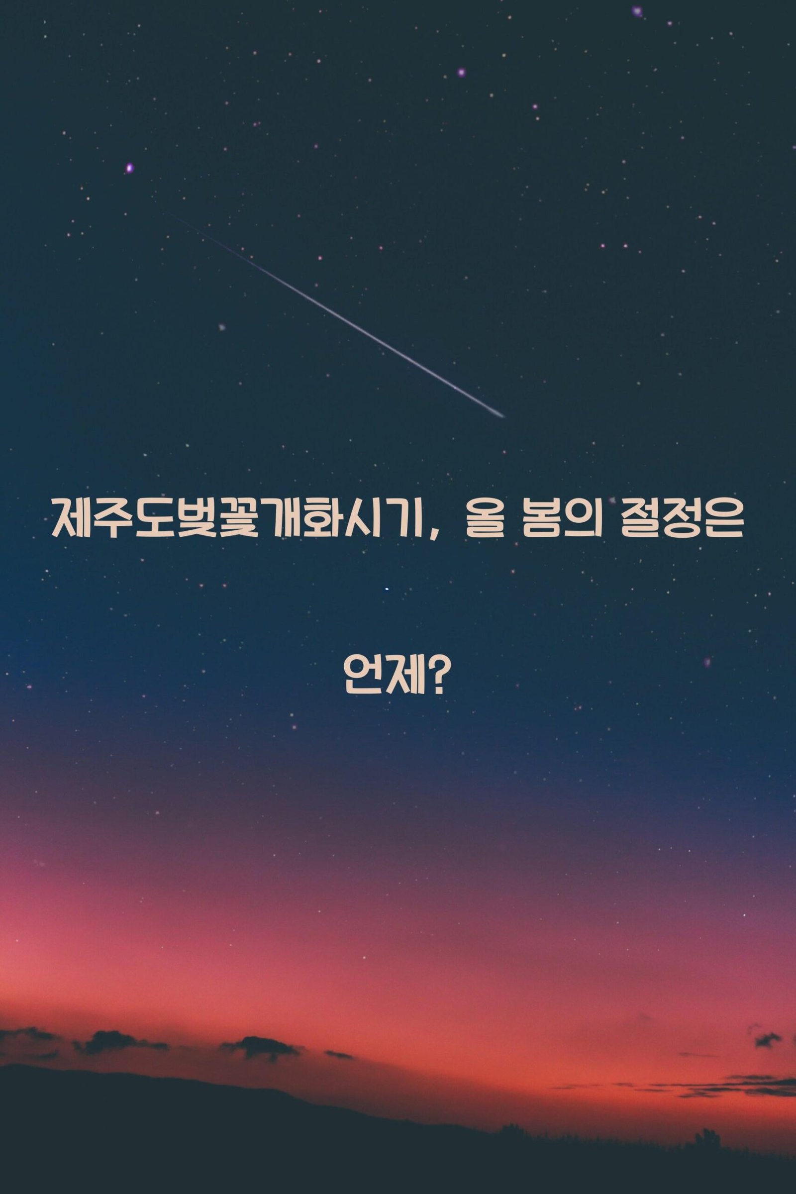제주도벚꽃개화시기 scaled