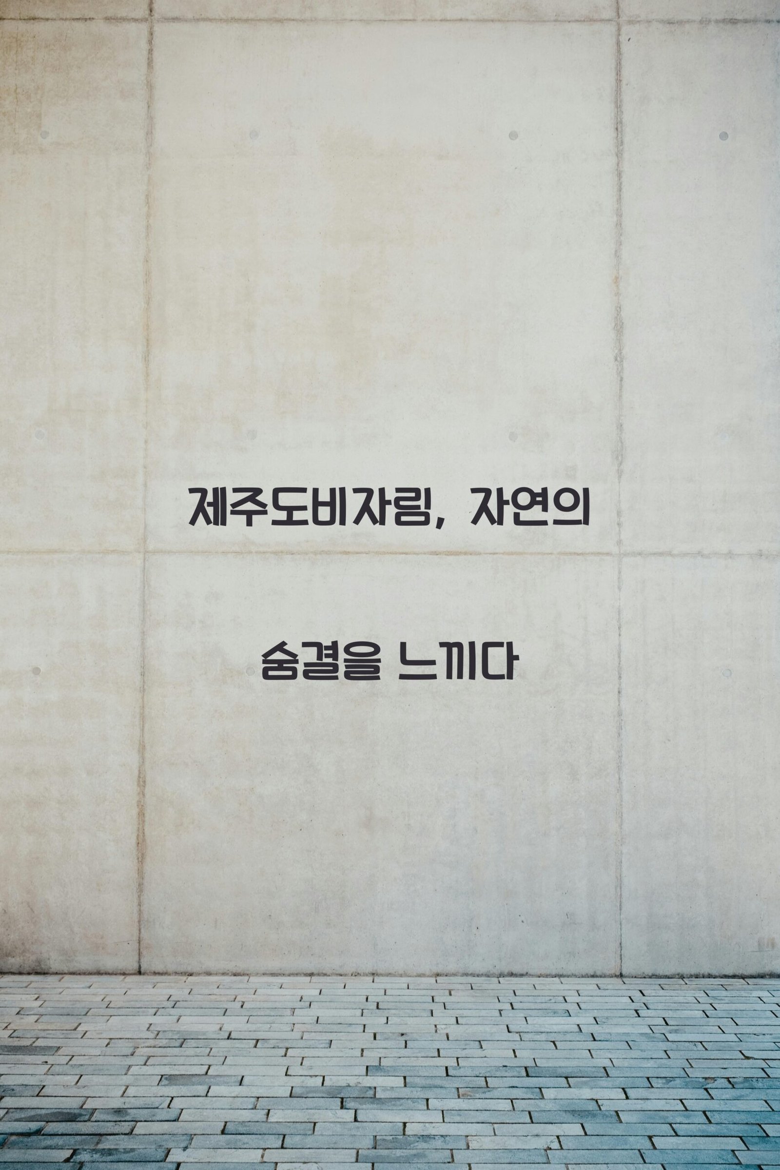 제주도비자림 scaled