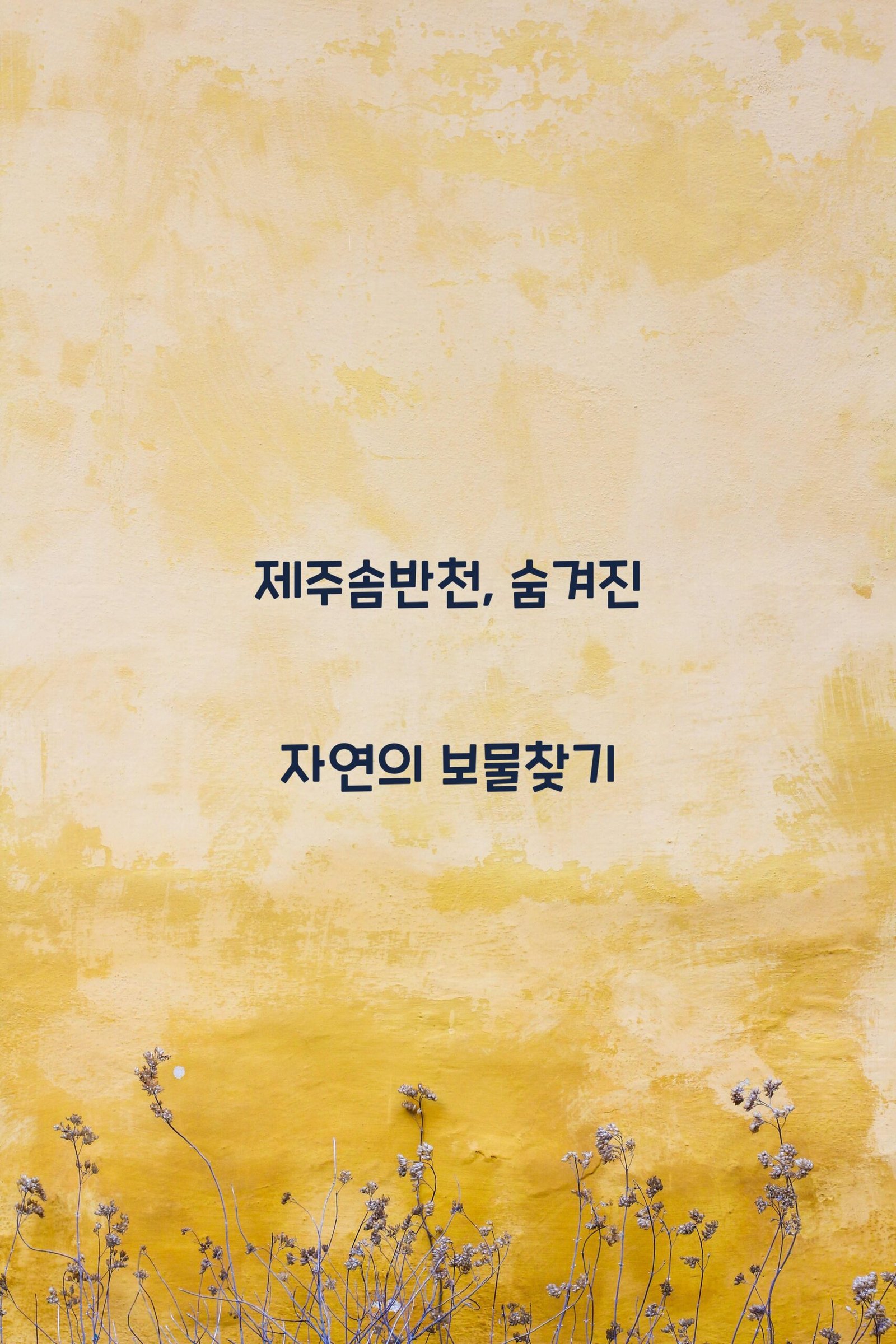 제주솜반천 scaled