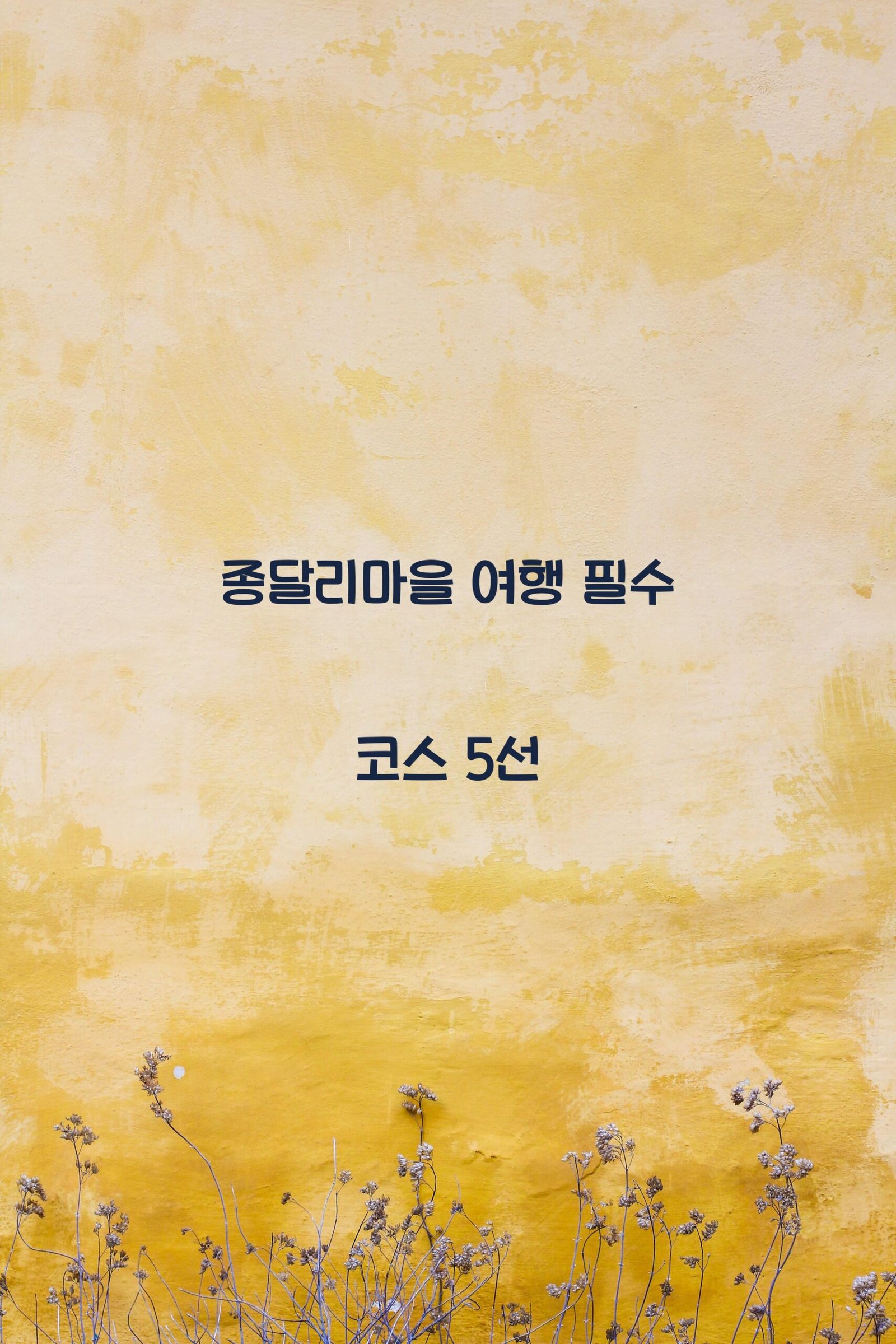 종달리마을 scaled