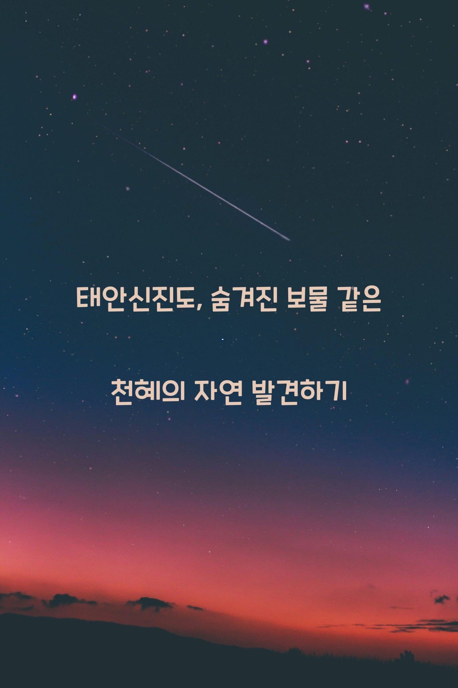 태안신진도 scaled
