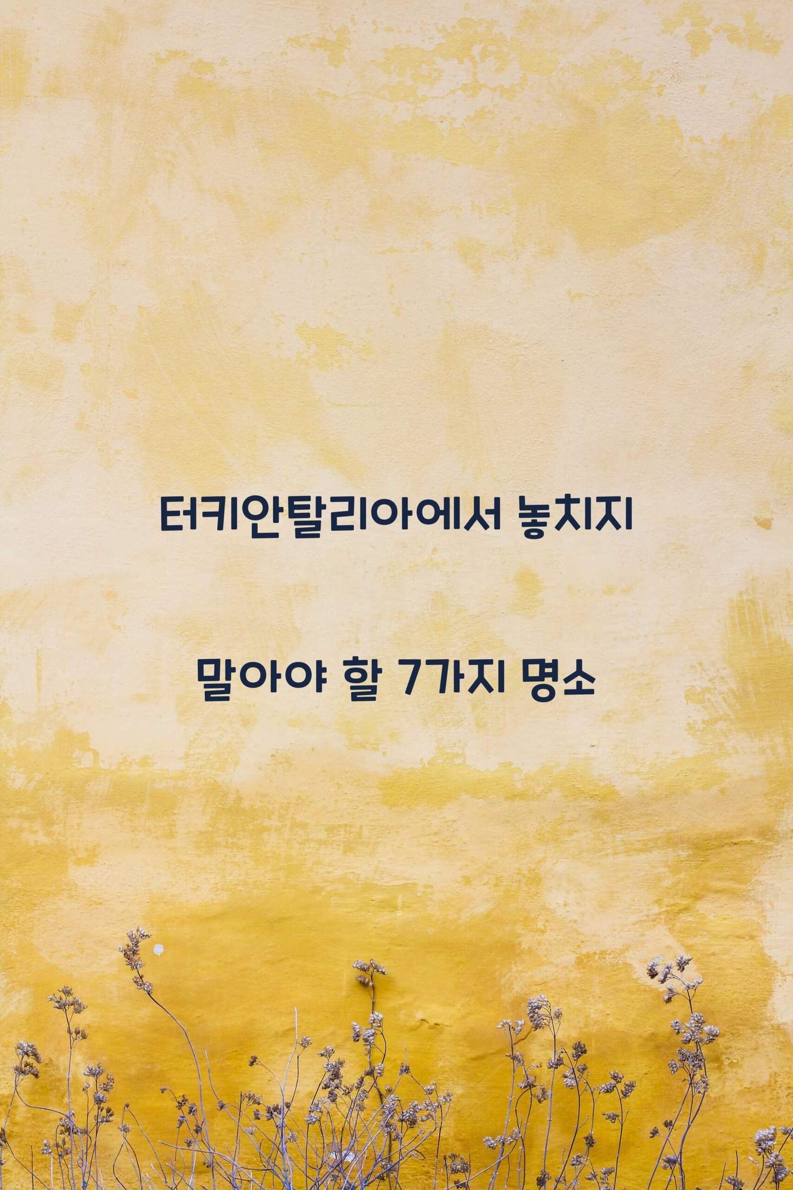 터키안탈리아 scaled