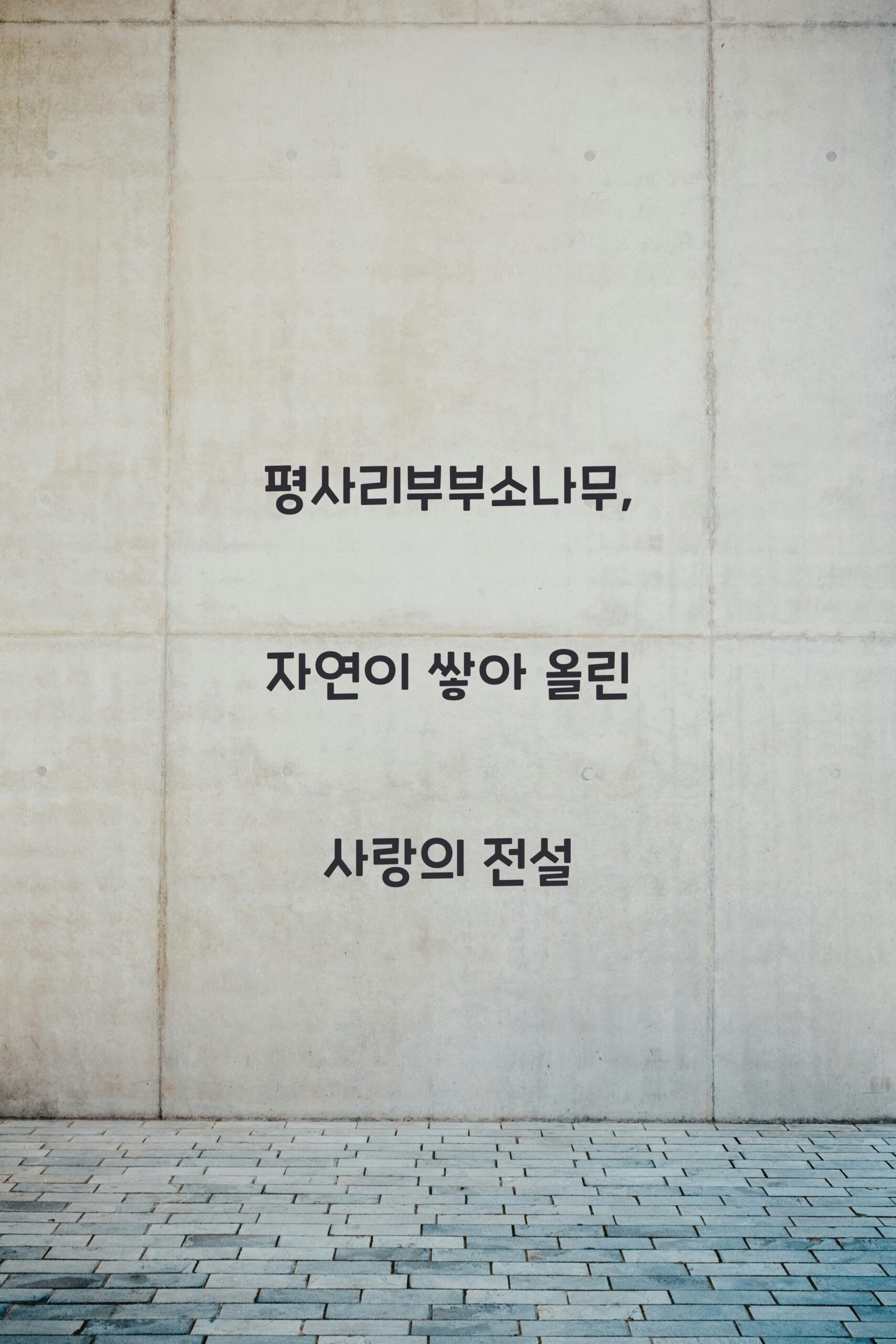 평사리부부소나무 scaled