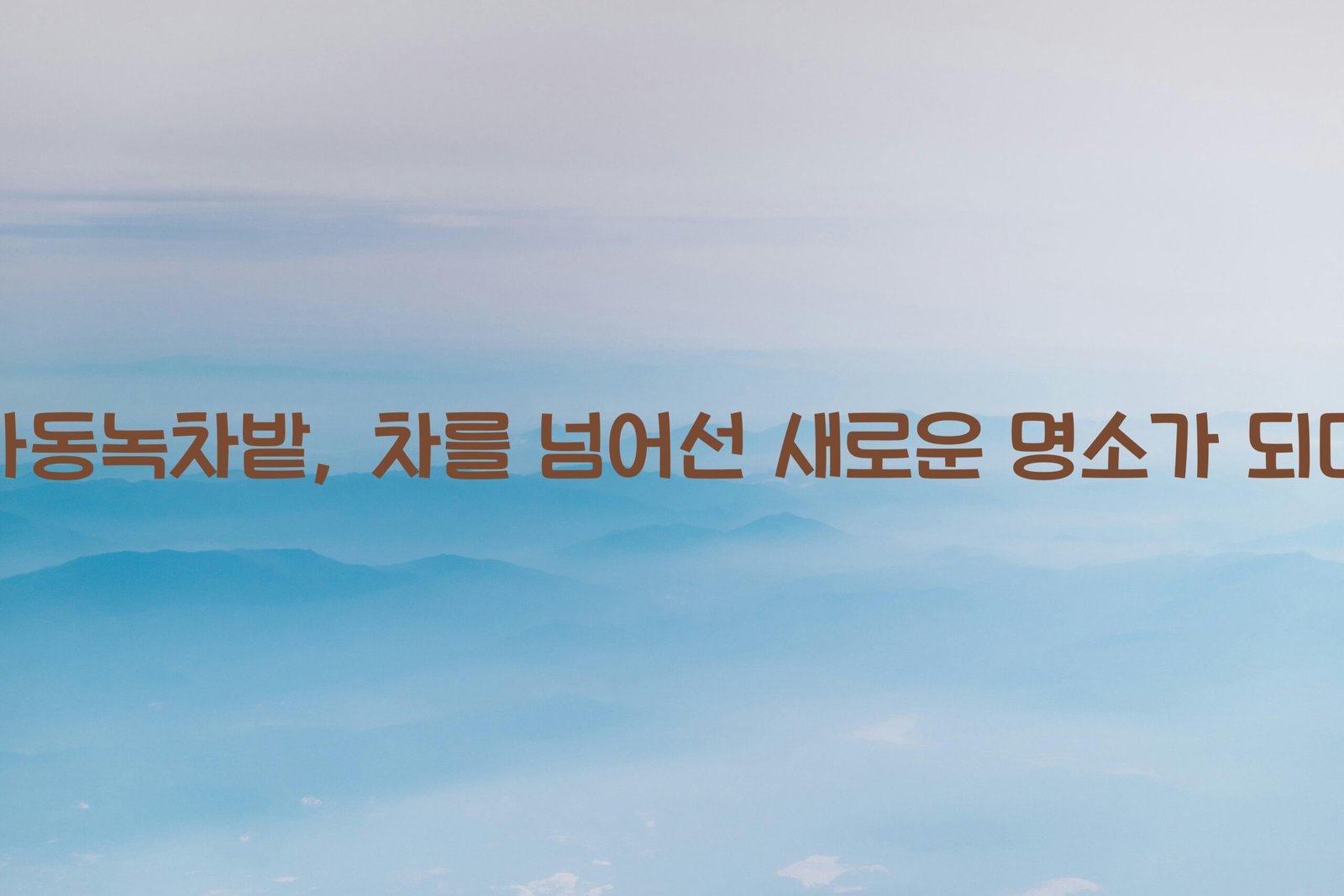 하동녹차밭 scaled