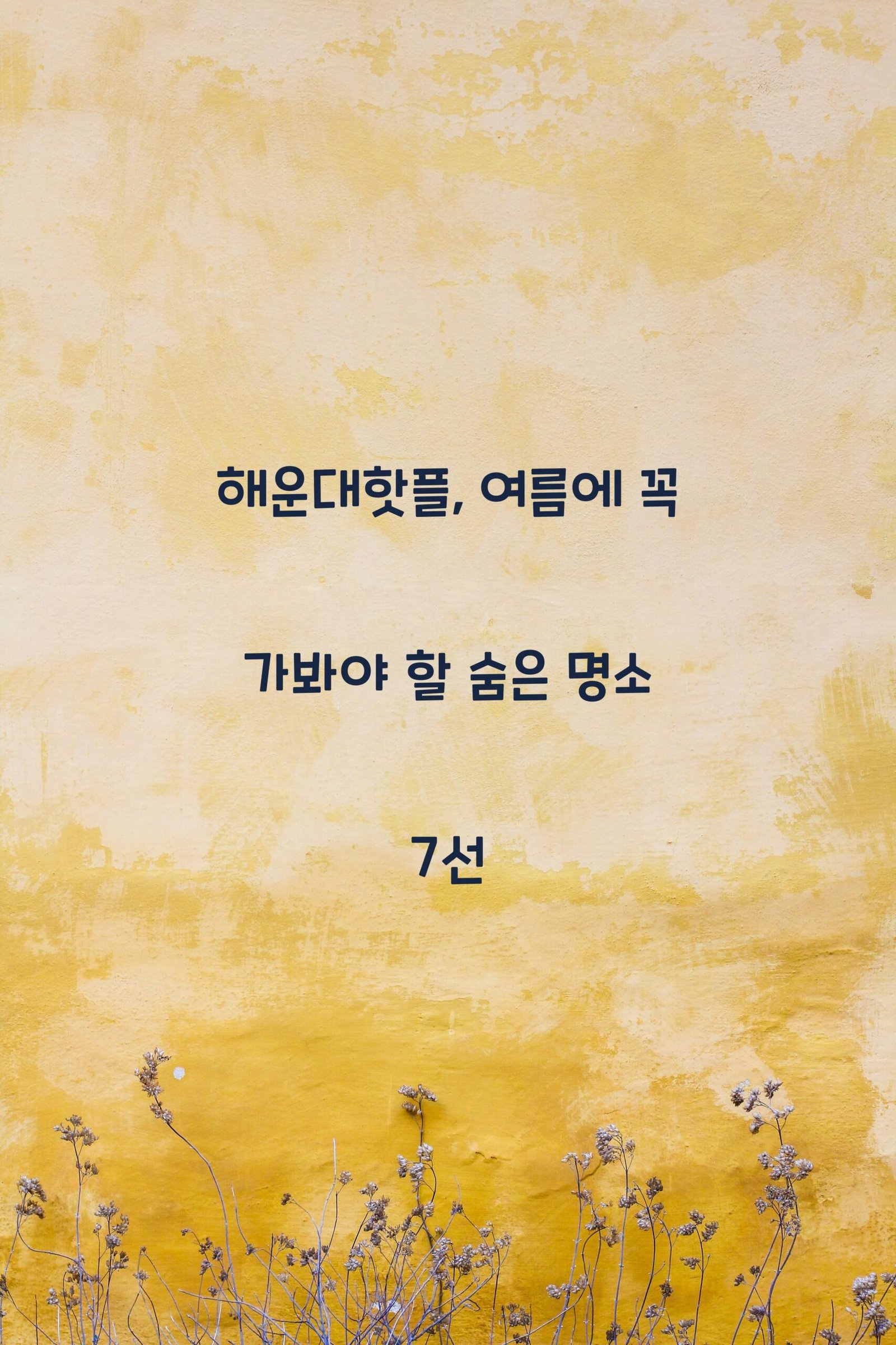 해운대핫플 scaled